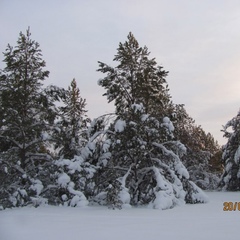 Валентина Попова, Коряжма