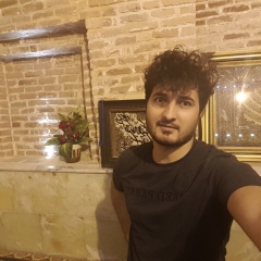 Reza Safaei, 32 года, Hamadan