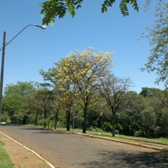 Ever Figueredo, 49 лет, Ciudad del Este