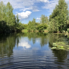 Ксения Захарова, 27 лет, Москва