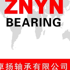 Bearing Znyn, 20 лет