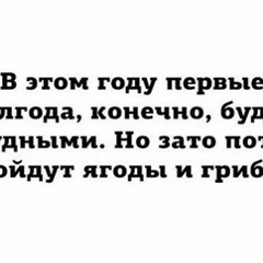 Слава Козлов, 39 лет, Санкт-Петербург