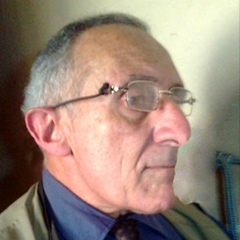 Luiz Siqueira campos, 79 лет, Curitiba