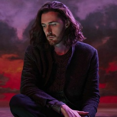 Andrew Hozier, 34 года, Bray