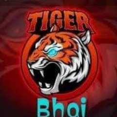 Tiger Bhai, 16 лет