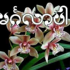 ပန္းပန္ လ်က္ပါ, 20 лет