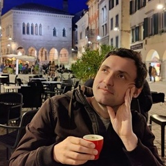 Danijel Osmanagić, 39 лет, Ljubljana