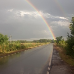 Александр Пучков, Королёв