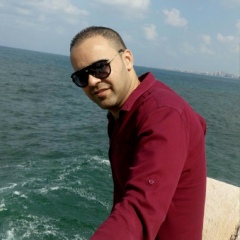 Mohamed Elshafey, 35 лет, Alexandria