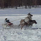 Сергей Иванов, Сургут