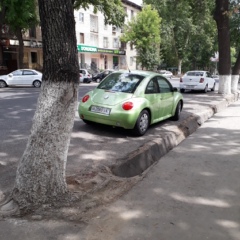 Barchinoy Shaniyazova, Ташкент