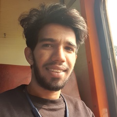 Pushkar Choudhary, 27 лет