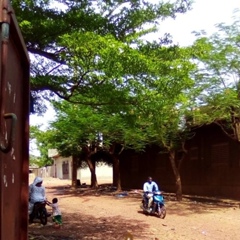 Boubacar Boré, 32 года, Bamako