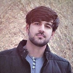 Nazeer Anwary, 26 лет, Kabul