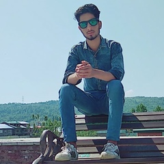 Shahbaz Khan, 23 года, Srinagar