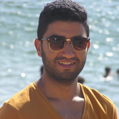 Hicham Elouah, 33 года, Safi