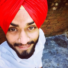 Prince Gill, 27 лет, Patiala