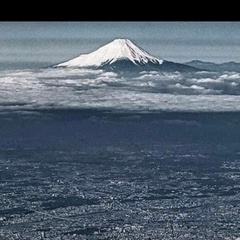 Андрей Крутиков, Tokyo