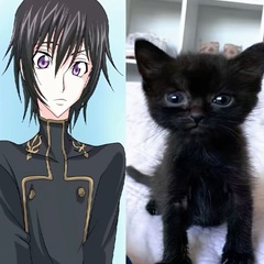 Lelouch Lamperouge, 24 года, Kōbe