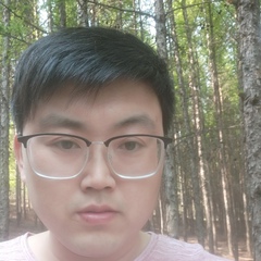 琦昌 李, 36 лет, Harbin