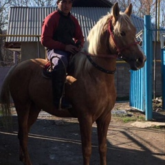 Бакытжан Абдышев, 37 лет, Шымкент