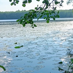 Artur Pirozhkov, Санкт-Петербург