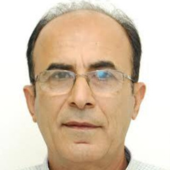 Imad Litvinov, 45 лет, Goiânia