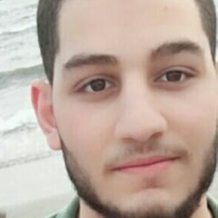 Ahmed Yousof, 26 лет, Mansoura