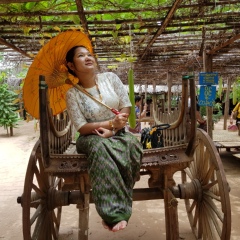 Tharaphi Mya-Thi, 41 год, Yangon