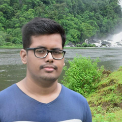 Sharif Anik, 26 лет, Dhaka