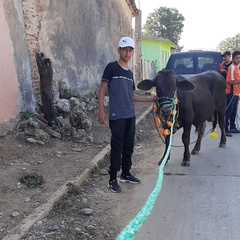 Cervando Marcos-Lopez, 19 лет, Juchitán de Zaragoza