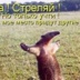 Орест Вознюк