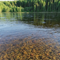 Анатолий Шестаков