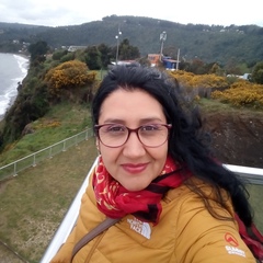 Viviana Valdivia, 51 год, Valparaíso