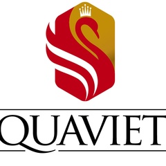 Quaviet Info, 36 лет