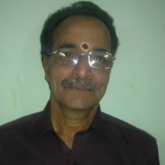 Venkatraman K-S, 65 лет, Chennai