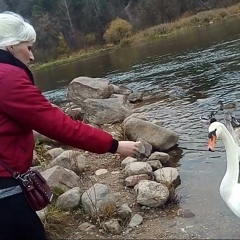 Лена Гуменная, Гродно