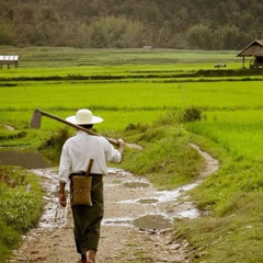 U Cho, 46 лет, Taungdwingyi