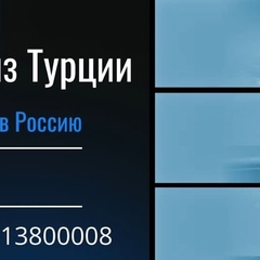 Самир Загиров, 43 года, Санкт-Петербург