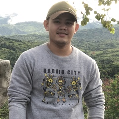 Vaughn Ansoc, 29 лет, Quezon City