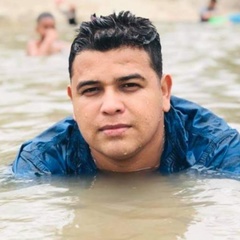 Wilmer-David Castellanos-Castillo, 30 лет, La Ceiba