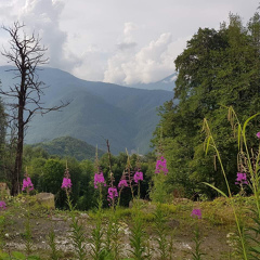 Мария Александровна, Челябинск