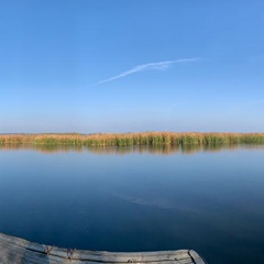 Евгений Григолая, Днепр (Днепропетровск)