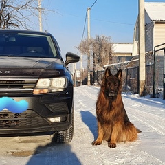 Павел Рукосуев, Иркутский