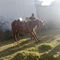 Jonathan Sanchez, 36 лет, México