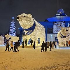 Виталий Мельник, Тюмень