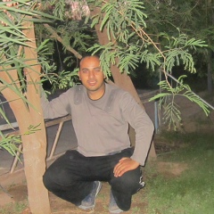 Dahman Semaoui, Alger