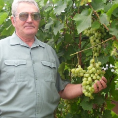 Валерий Беднев, Волгоград