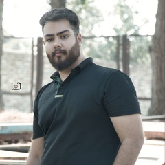 Ashkan Hamidi, 29 лет, Kermanshah