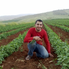 Moath Bany-Hamad, 35 лет, Irbid